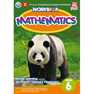 Workbook Mathematics Grade 6